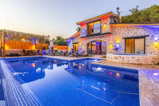 Emirates Hills Villas: Guide