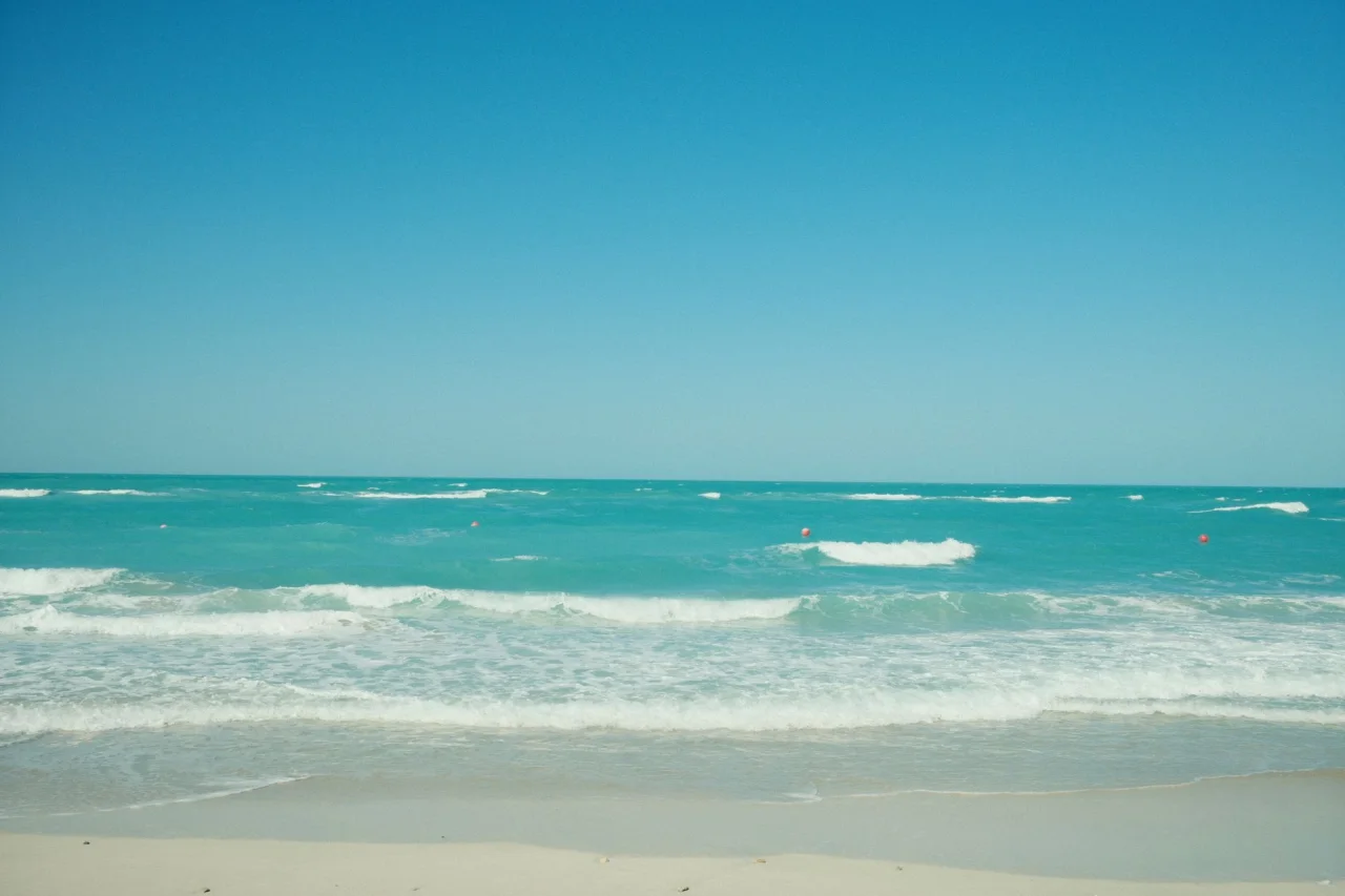 Living in Saadiyat Island (2026)
