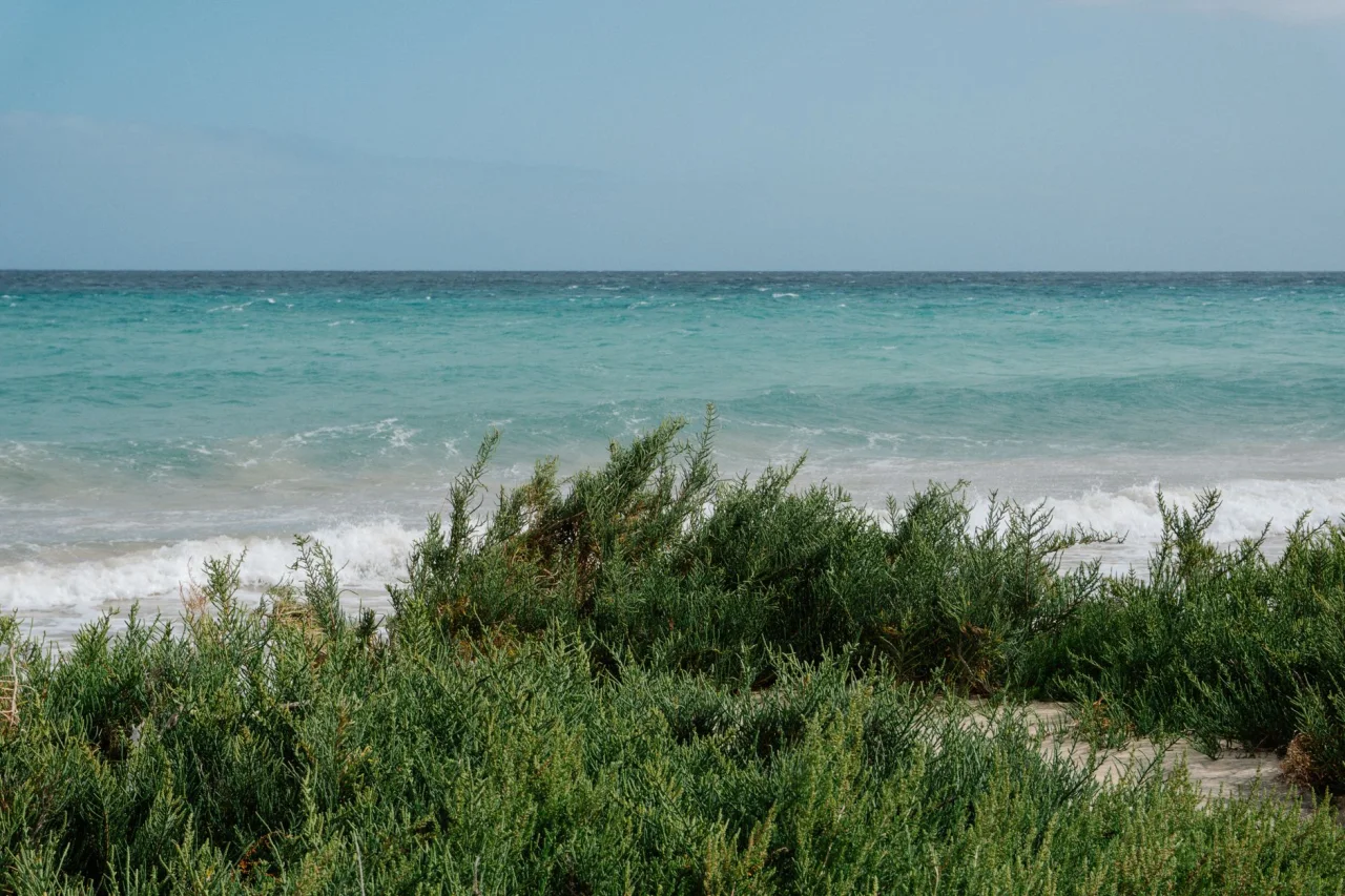 Living in Saadiyat Lagoons